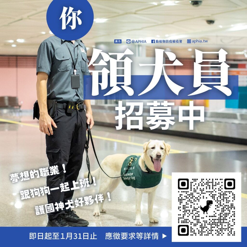 高薪!檢疫犬領犬員招募 防檢署添新兵